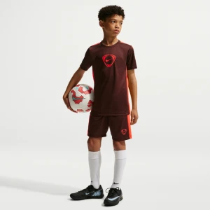 Spodenki piłkarskie dla dużych dzieci Dri-FIT Nike Academy+ - Fiolet