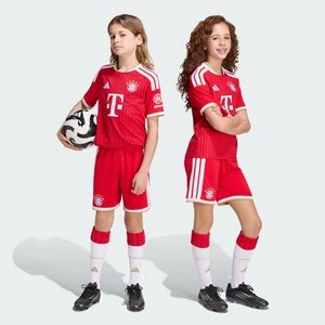 Spodenki podstawowe dla dzieci FC Bayern 26/27 Adidas