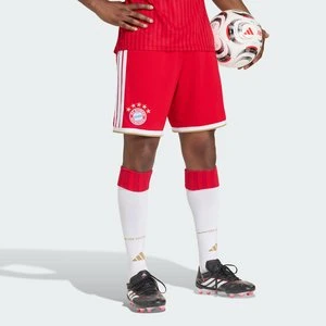 Spodenki podstawowe FC Bayern 26/27 Adidas