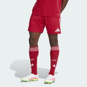 Spodenki podstawowe Liverpool FC 25/26 Adidas