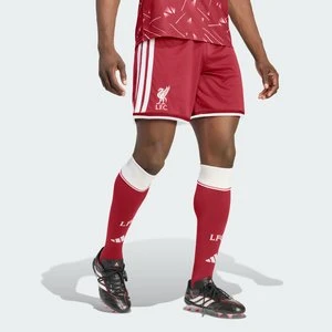 Spodenki podstawowe Liverpool FC 26/27 Adidas