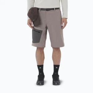 Spodenki trekkingowe męskie Salomon Outerpath Utility iron