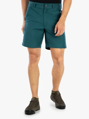 Spodenki turystyczne męskie Icebreaker Men Hike Shorts - green glory