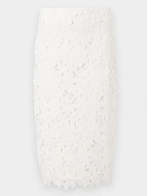 Spódnica ołówkowa Aware