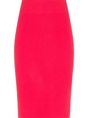 Spódnica ołówkowa usha