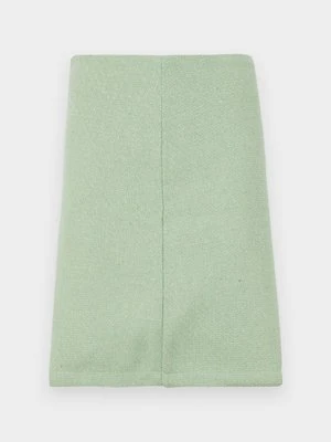 Spódnica trapezowa DeFacto