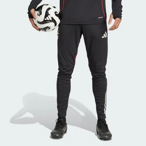 Spodnie Benfica Tiro 25 Competition Training Adidas