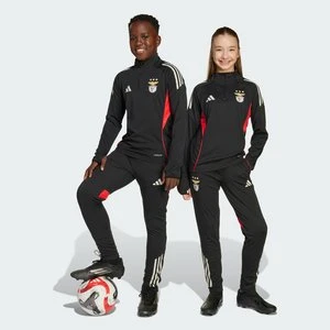 Spodnie Benfica Tiro 25 Competition Training Kids Adidas