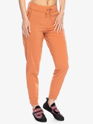 Spodnie damskie Patagonia Terrebonne Joggers - sienna clay