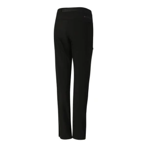 Spodnie damskie trekkingowe softshellowe Akana Alpine Pro czarny