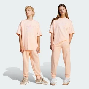 Spodnie dresowe Big Logo Execution Oversized Adidas