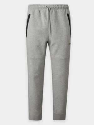 Spodnie dresowe Calvin Klein srebrny