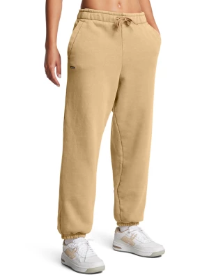 Spodnie dresowe damskie Under Armour UA Icon Hwt Flc Os Pant - brązowe