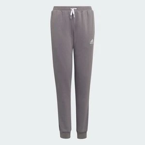 Spodnie dresowe Entrada 22 Adidas Team Grey Four