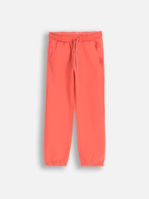 Spodnie dresowe JOGGER COCCODRILLO