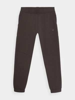 Spodnie dresowe joggery męskie - brązowe 4F