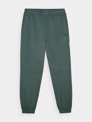 Spodnie dresowe joggery męskie - oliwkowe 4F
