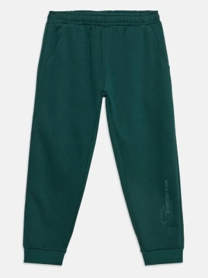 Spodnie dresowe Joma zielony