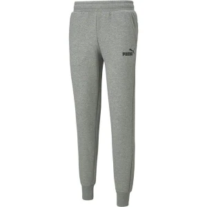 Spodnie dresowe męskie Essentials Logo Puma