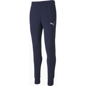 Spodnie dresowe męskie teamGoal 23 Casuals Puma