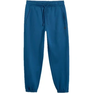 Spodnie dresowe męskie TTROM1140 4F