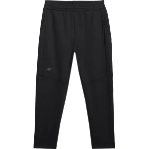 Spodnie dresowe męskie TTROM1194 4F