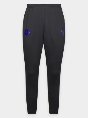 Spodnie dresowe Nike fioletowy