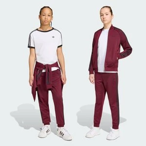 SPODNIE DRESOWE SST Adidas bordowy