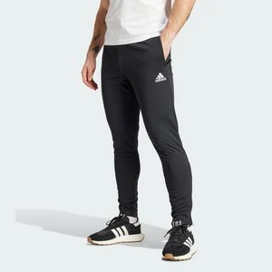 Spodnie Entrada 22 Training Adidas