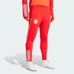 Spodnie FC Bayern Tiro 23 Training Adidas