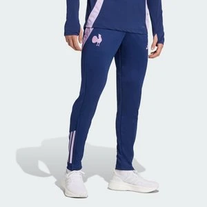 Spodnie France Training Adidas