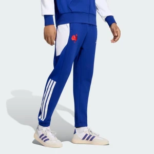Spodnie Francja Rugby Travel Adidas Mystery Ink