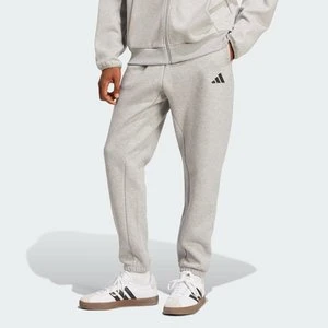Spodnie Future Icons Small Logo Adidas