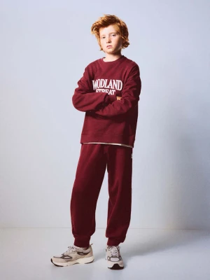 Spodnie joggersy bawełniane kasztanowy - Dzieci - lata - MANGO KIDS