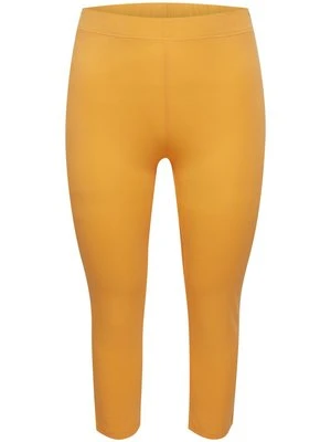 Spodnie legginsy Fransa