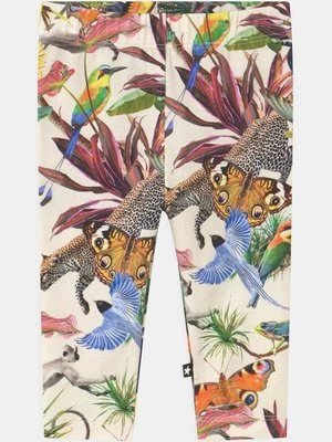 Spodnie legginsy Molo