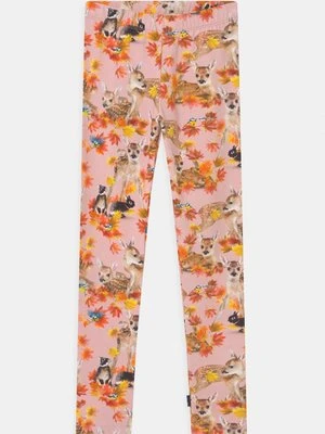 Spodnie legginsy Molo