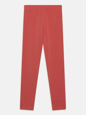 Spodnie legginsy Molo