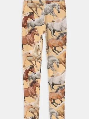 Spodnie legginsy Molo