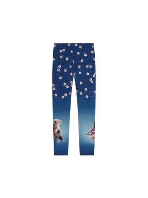 Spodnie legginsy Molo granatowy