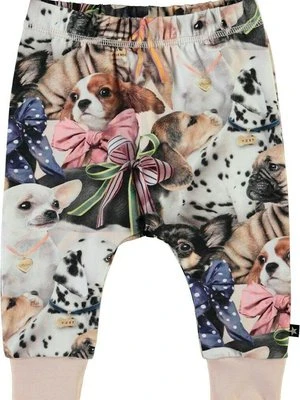 Spodnie legginsy Molo