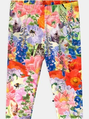 Spodnie legginsy Molo