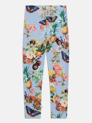 Spodnie legginsy Molo