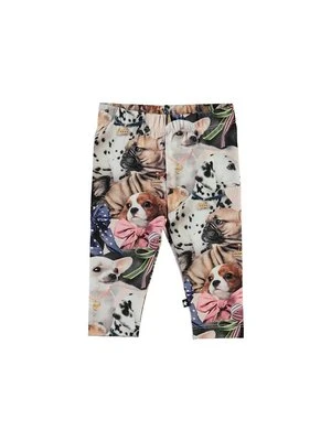 Spodnie legginsy Molo