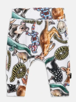 Spodnie legginsy Molo