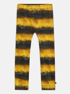 Spodnie legginsy Molo