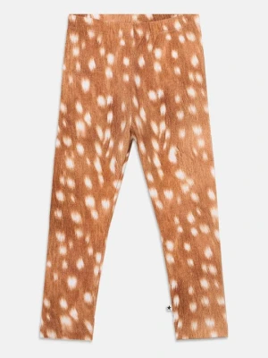 Spodnie legginsy Molo koniakowy