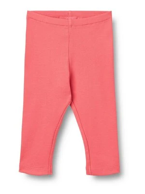 Spodnie legginsy Wheat
