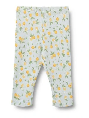 Spodnie legginsy Wheat