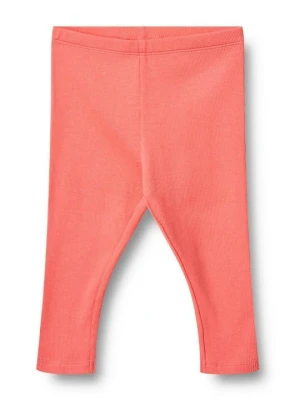 Spodnie legginsy Wheat koralowy